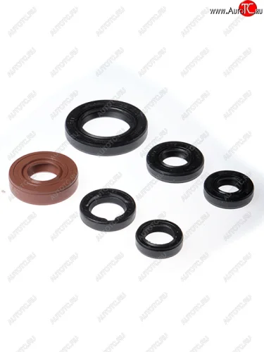 Комплект сальников двигателя BWX Honda TRX300 93-09 (822146)  osk30146