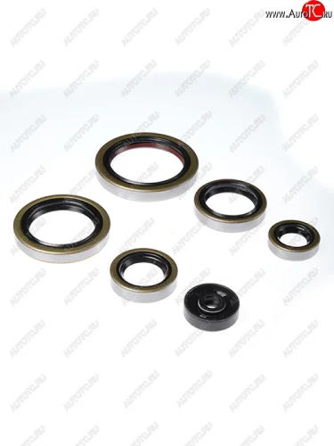 Комплект сальников двигателя BWX KTM SX250 03-16,Husqvarna TETC250 14-16,TE300 14-16 (822269)  osk40269