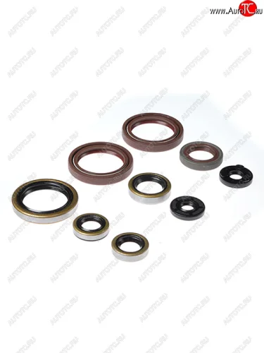 Комплект сальников двигателя BWX EXC450 09-11, EXC530 09-11 (822359)  osk60359