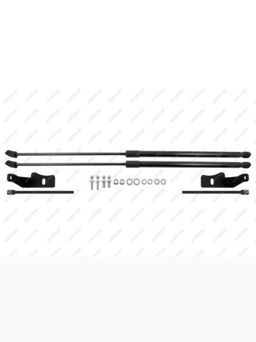 Амортизаторы капота для DongFeng Glorу 600, 2024-, к-т 2 шт  ДонгФенг Глори 600 EASYLIFT easylift 076.102