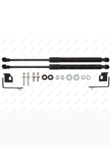 Амортизаторы капота для EVOLUTE i-Space, 2024-, к-т 2 шт  Эволют EASYLIFT easylift 062.102