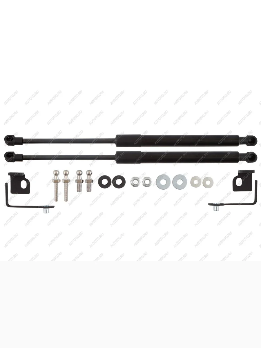 Амортизаторы капота для EVOLUTE i-Space, 2024-, к-т 2 шт  Эволют EASYLIFT easylift 062.102  с доставкой в г. Самара