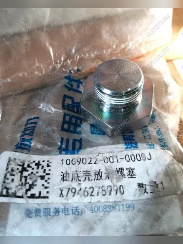 Пробка сливная масляного поддона FAW CA6DM2 FAW 1009022-81d