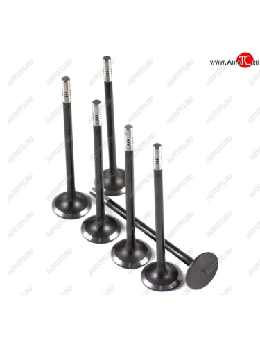 Клапан впускной D=38 евро23 FAW CA6DL2 FAW 1007011-36d