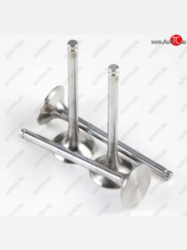 Клапан WD615 Евро2 выпускной D=50 d=11 H=159 HOWO SHACMAN vg1560050041612600050025