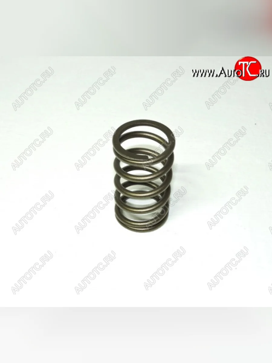 Пружина клапана внешняя 61500050002 (!!!УЦЕНКА: возможен нетоварный вид!!!) WEICHAI 61500050002  в Воронеже Воронежской области