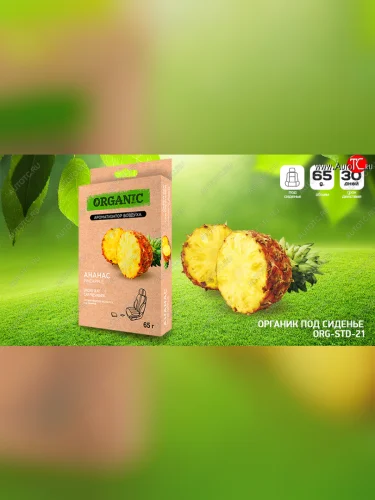 Ароматизаторы воздуха, Органик под сиденье "Ананас" (ORG-STD-21)  org-std-21