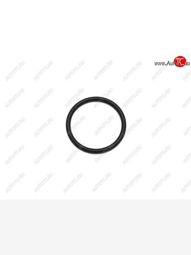 Кольцо уплотнительное маслонасоса MMC AIRTREK 01-05LANCER 03-10 4D##4G## STONE JF-36620