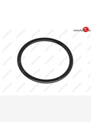 Кольцо уплотнительное заглушки ГБЦ MMC Pajero 97-02Galant 92-96Delica 94-02 6A##6G726G736G746G STONE JF-36421