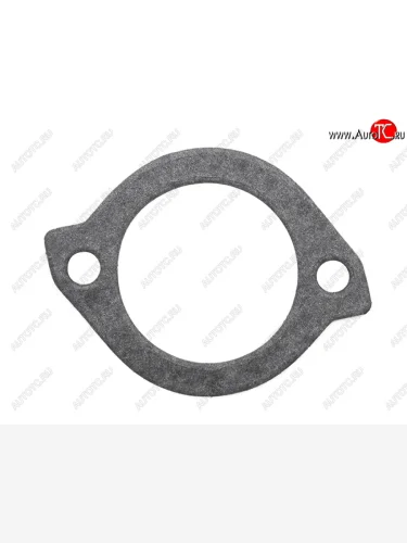 Прокладка корпуса термостата MAZDA B5B6Z5ZLFE STONE JG-29059