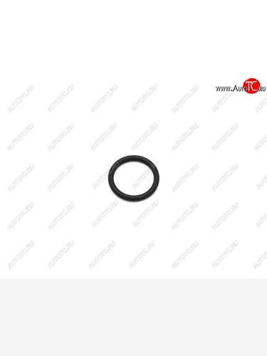 Шайба форсунки NISSAN PATHFINDER R51X-TRAIL T30NP 300 YD25YD22 STONE JH-08710-F