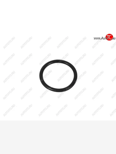 Кольцо уплотнительное АКПП VAG VAG WHT001403