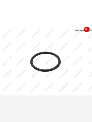 Кольцо уплотнительное форсунки  VAG BKS,BUN 3,0 DTI (16,2*1,5*19,2) VAG WHT000884