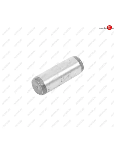 Штифт ЗМЗ-406 распредвала (ОАО ЗМЗ) ЗМЗ 040600-1006037-00