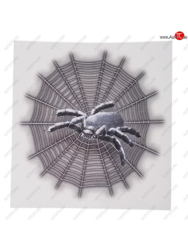 Наклейка виниловая вырезанная Паук на паутине №3 16.5х16.5см полноцветная AUTOSTICKERS AUTOSTICKERS 042237