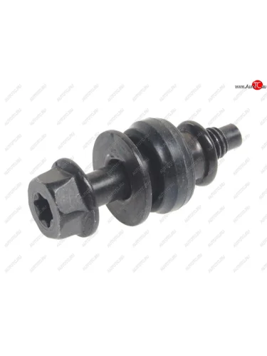 Болт VW Beetle,Golf AUDI A3,A4 OE VAG 06j103831