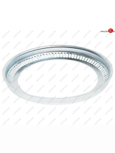 Кольцо АБС SAF SAMPA SAMPA 075.096