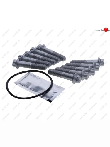 Болт SAF крепления диска тормозного (M14x1.5x65) (комплект 10шт.,смазка,уплотнение) SAMPA SAMPA 075.620