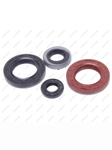 Сальник ВАЗ-1111 КПП комплект 4шт. БАЛАКОВОЗАПЧАСТЬ БАЛАКОВОЗАПЧАСТЬ 02356