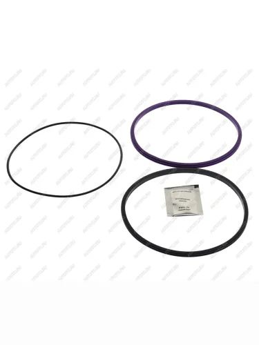 Кольцо уплотнительное VOLVO FM9,FM300 дв.D9A,D9B гильзы цилиндра комплект SAMPA SAMPA 030.729