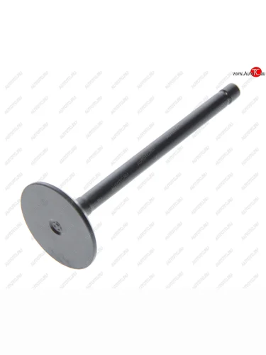 Клапан впускной JAC N56 OE JAC 1003012fa