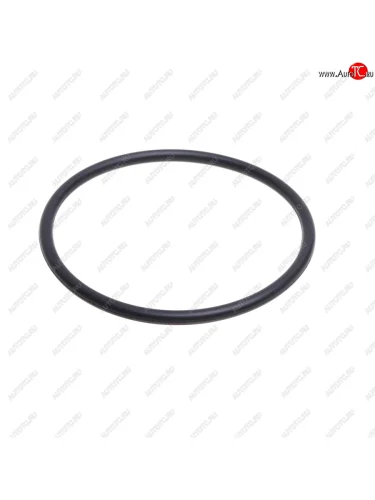 Кольцо уплотнительное JAC N56 патрубка насоса водяного OE JAC 1041018fe010