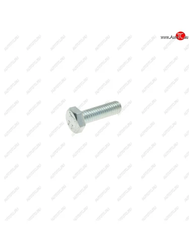 Болт М6х1.0х20 ВАЗ-2101 крепления радиатора (кл.проч. 8.8) ТТМ ТМ 10902421201420-п29