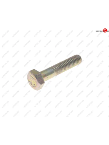 Болт М6х1.0х30 ВАЗ-2101 успокоителя цепи длинный (кл.проч. 8.8) ТТМ ТМ 10902821