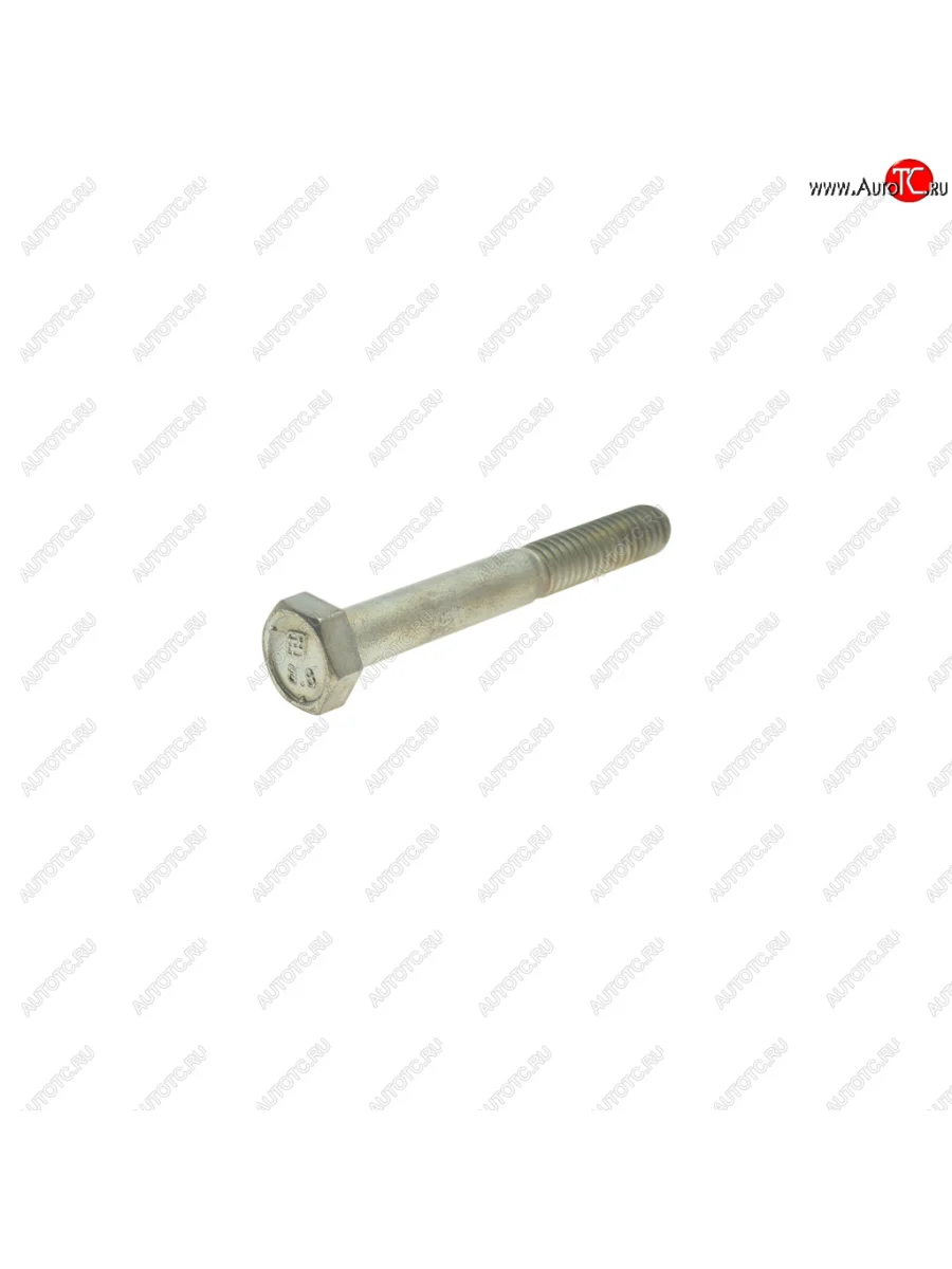 Болт М6х1.0х45 многоцелевой (кл.проч. 8.8) ТТМ ТМ 10903421  в Самаре Самарской области