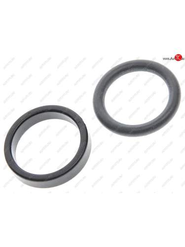 Кольцо уплотнительное BMW 1 (E81),3 (E90),5 (E60),X1 клапана VANOS (2шт.) OE BMW 11367548459