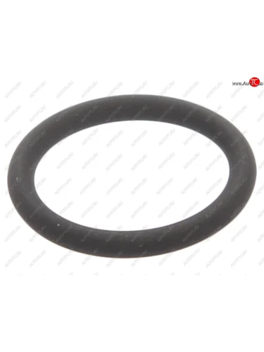 Кольцо уплотнительное BMW OE BMW 11421702905