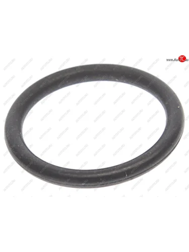 Кольцо уплотнительное BMW 5 (E60) турбокомпрессора ОЕ BMW 11427563453