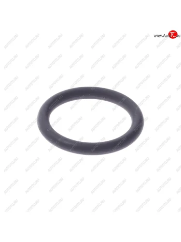 Кольцо уплотнительное BMW BMW 11431740045