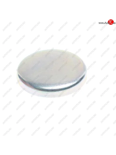 Крышка MAN F2000 шкворня SAMPA SAMPA 114.321