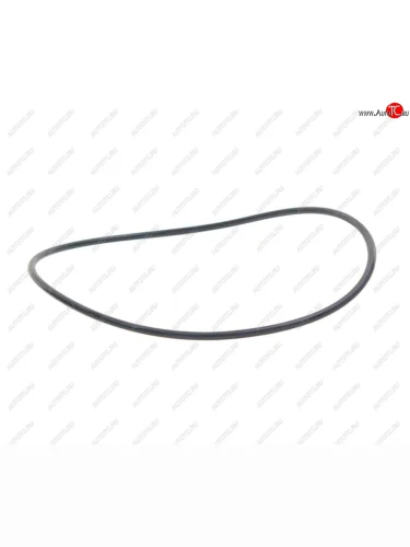 Кольцо уплотнительное SAF ступичной гайки SAMPA SAMPA 115.516