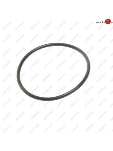 Кольцо уплотнительное VOLVO насоса водяного (60х3мм) SAMPA SAMPA 115.532