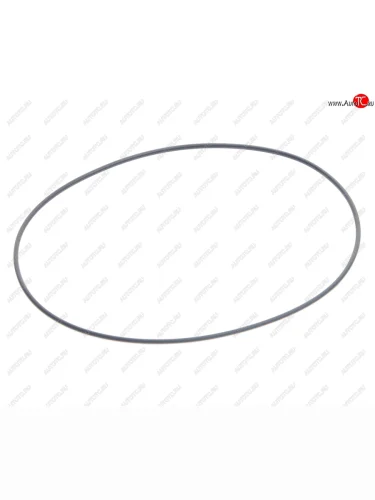 Кольцо уплотнительное SAF ступицы (110х2) SAMPA SAMPA 115.557