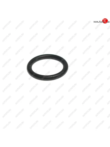 Кольцо SCANIA уплотнительное компрессора воздушного SAMPA SAMPA 115.571