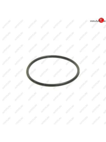 Кольцо уплотнительное RENAULT Premium,Magnum пальца тормозной колодки (29.87x1.78) SAMPA SAMPA 115.586