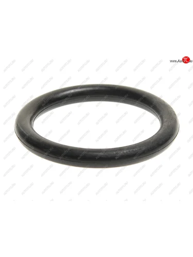 Кольцо уплотнительное RENAULT Premium,Magnum,Kerax пальца рессоры (37.47x5.3) SAMPA SAMPA 115.594