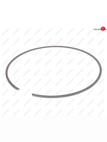 Кольцо SCANIA ступицы стопорное (250x3) DT DT 1.17330