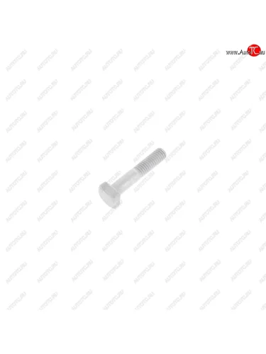 Болт М6х1.0х30 клеммы АКБ с квадратной головкой NO NAME 11945008