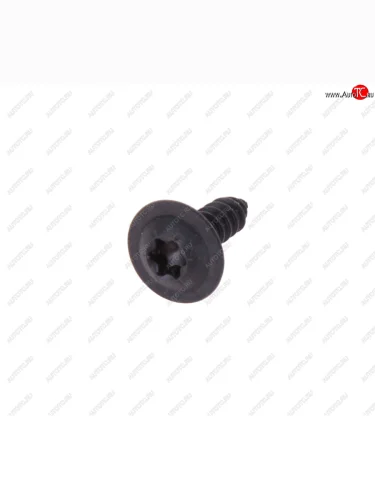 Саморез 4.2х13мм под TORX SMILGA SMILGA 1411