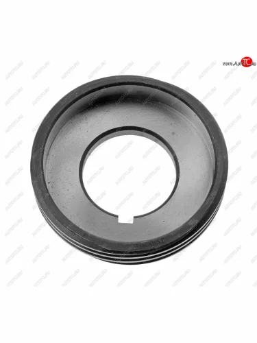 Кольцо КАМАЗ вала первичного маслонагнетательное (ОАО КАМАЗ) KAMAZ 14.1701096