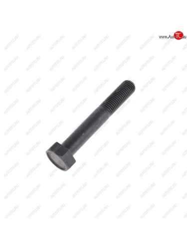 Болт М10х1.25х45 ВАЗ-2121 дифференциала коробки раздаточной NO NAME 14233930