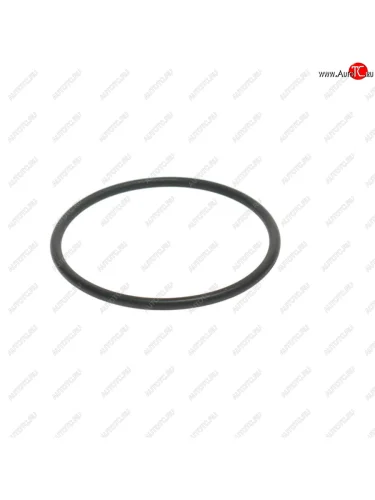 Кольцо уплотнительное КАМАЗ-5490 MERCEDES (45x50x2.5) ТНВД ELRING ELRING 152.630