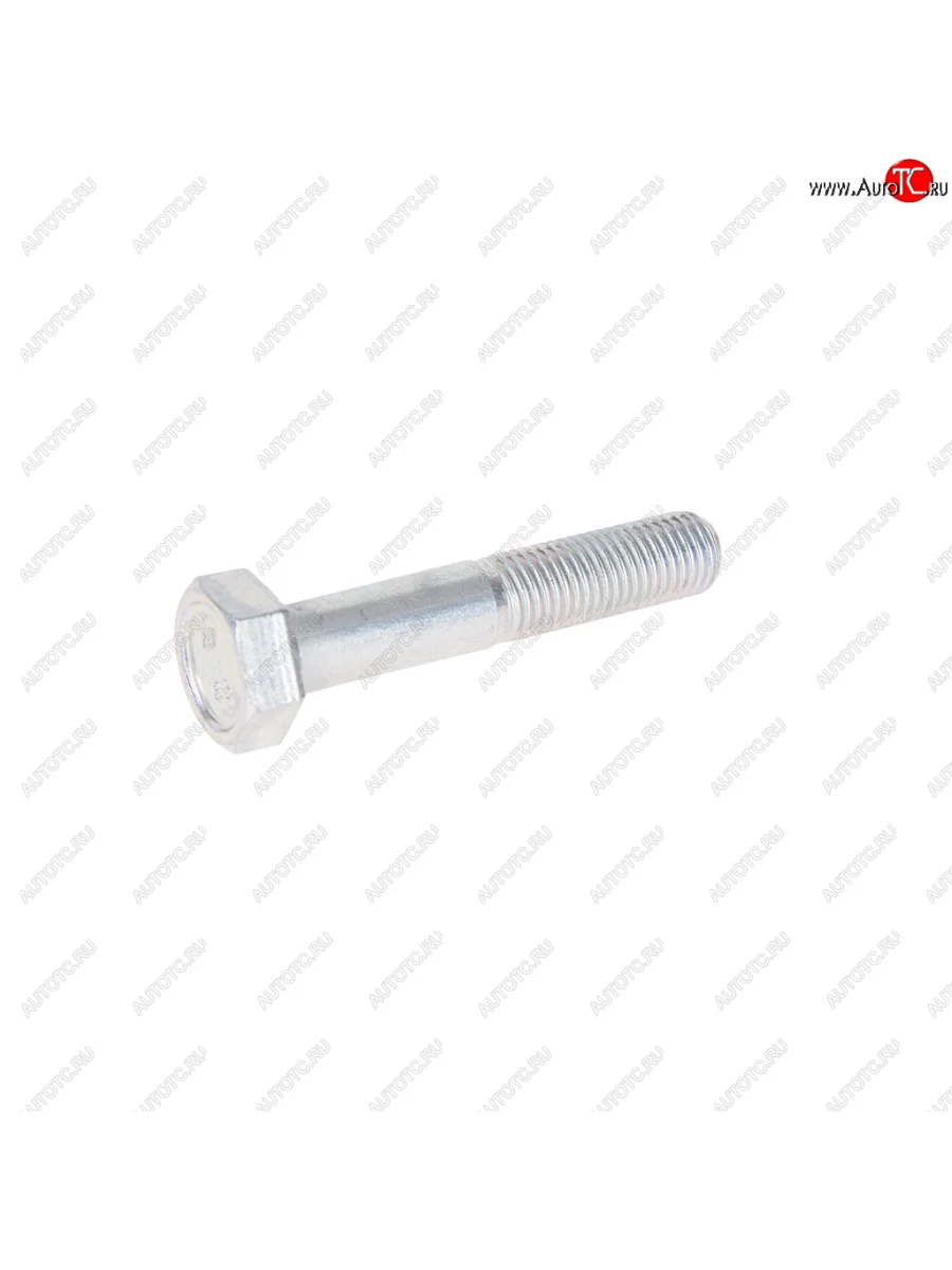 Болт М10х1.25х55 ВАЗ-2108 кронштейна генератора (кл.проч. 8.8) ТТМ ТМ 15888721  в Самаре Самарской области