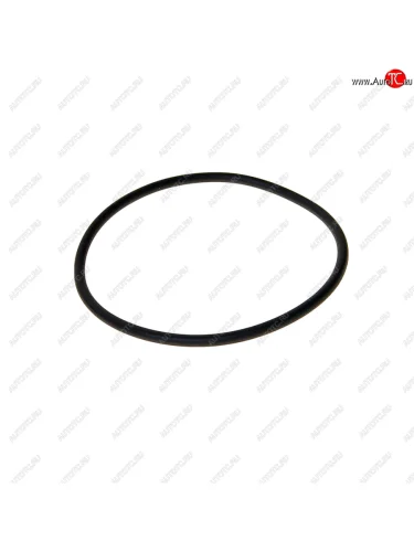 Сальник BMW 3 (E30,E36),5 (E34,E39) бачка расширительного OE BMW 17211712965