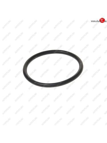 Кольцо уплотнительное VW Golf,Jetta,Passat AUDI 80,100 фланца термостата FEBI FEBI 17966