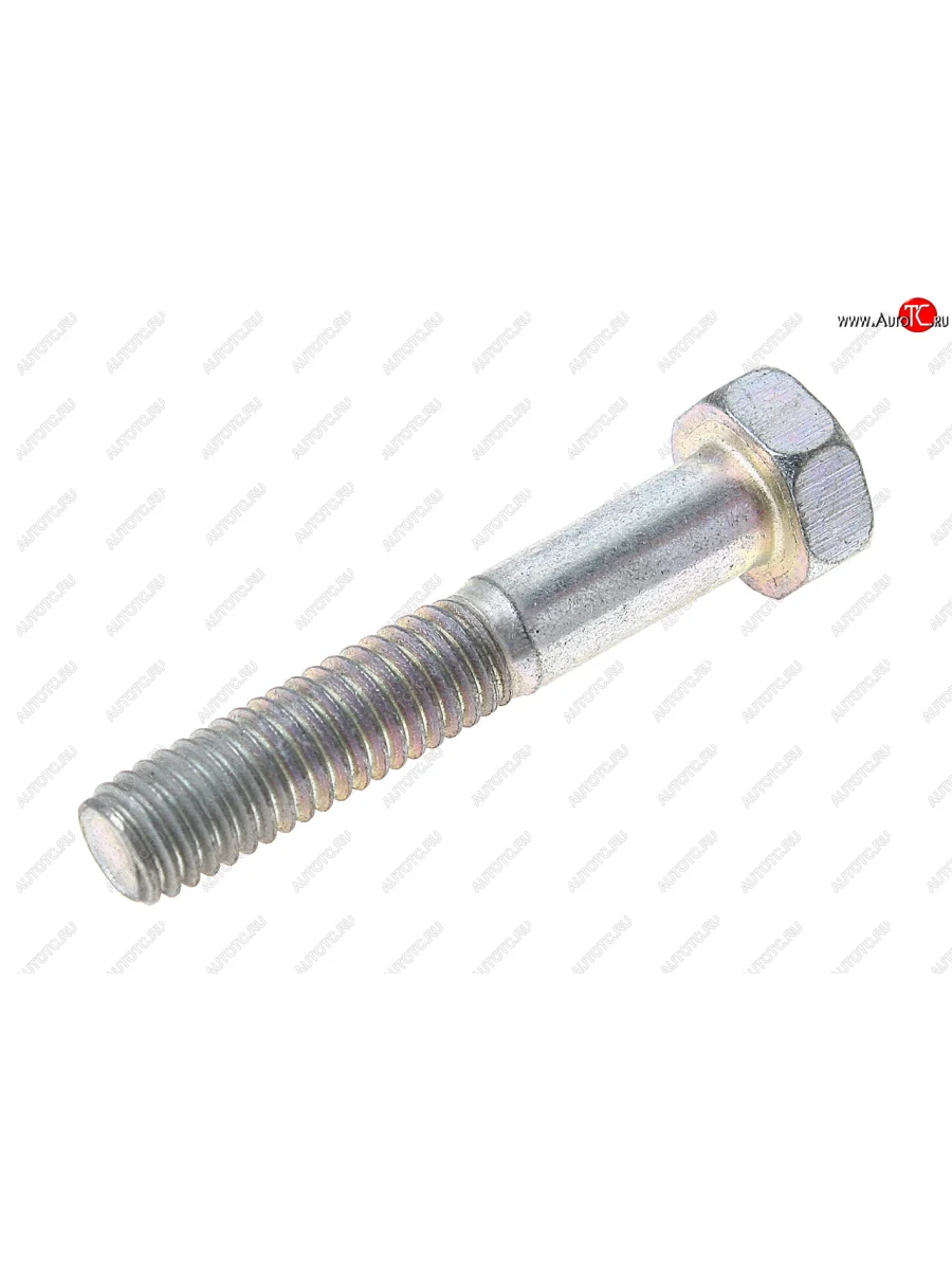 Болт М6х1.0х35 трубопроводов гидропривода тормозов ЗИЛ-5301, крепления радиатора ГАЗ-3302 ЭТНА Красная Этна ОАО 200213-п29  в Самаре Самарской области